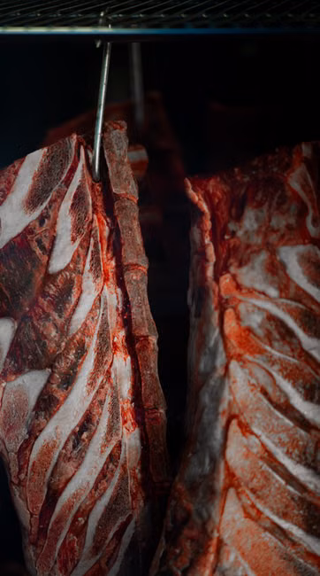 Carne Moída (kg)